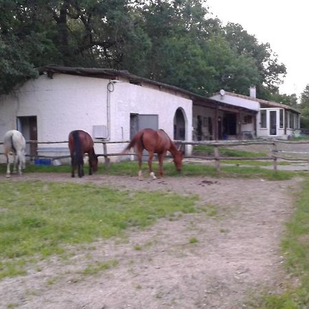 Вилла Ferme Equestre Des Abrons Pailloles Экстерьер фото