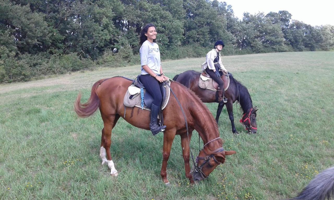 Вилла Ferme Equestre Des Abrons Pailloles Экстерьер фото