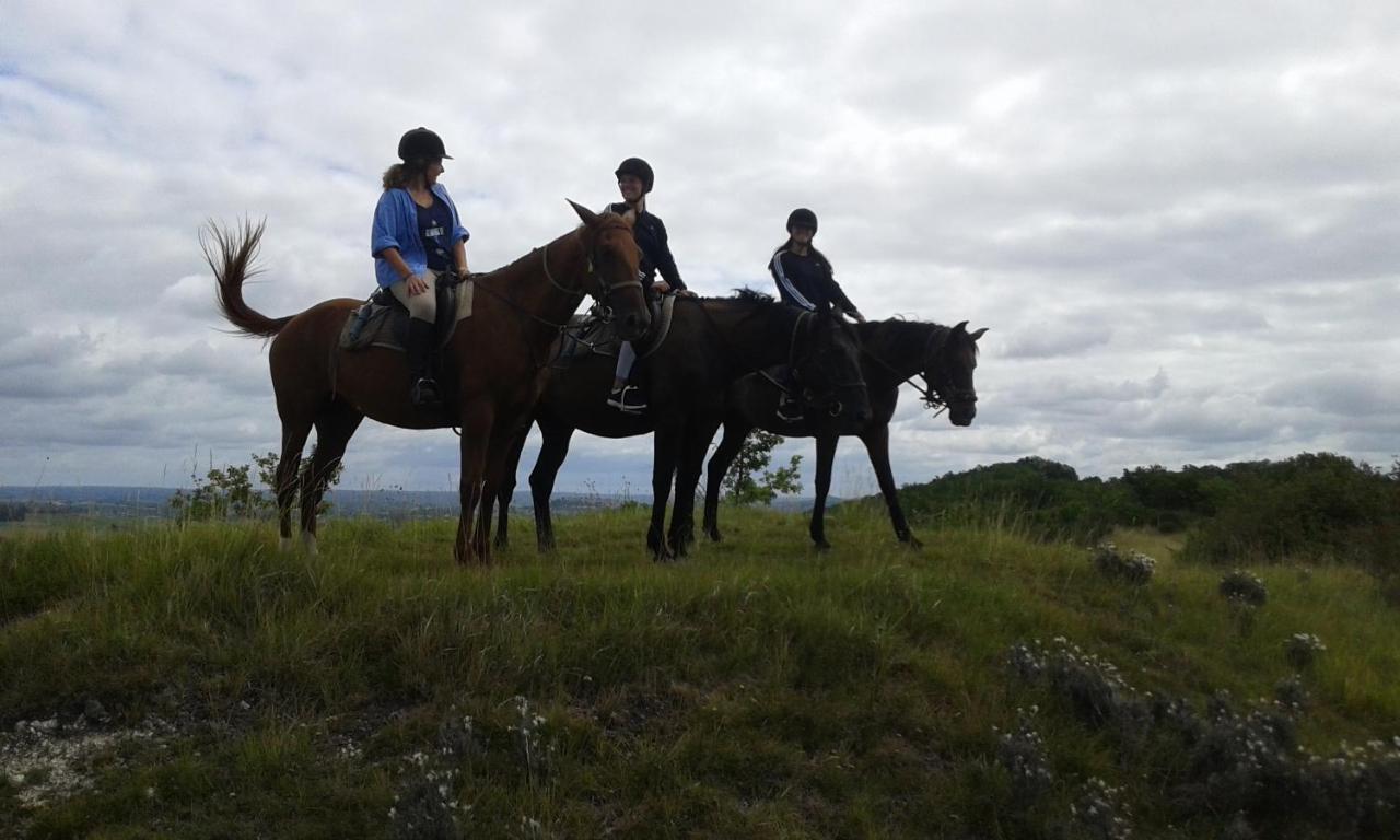 Вилла Ferme Equestre Des Abrons Pailloles Экстерьер фото