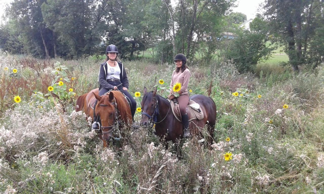 Вилла Ferme Equestre Des Abrons Pailloles Экстерьер фото