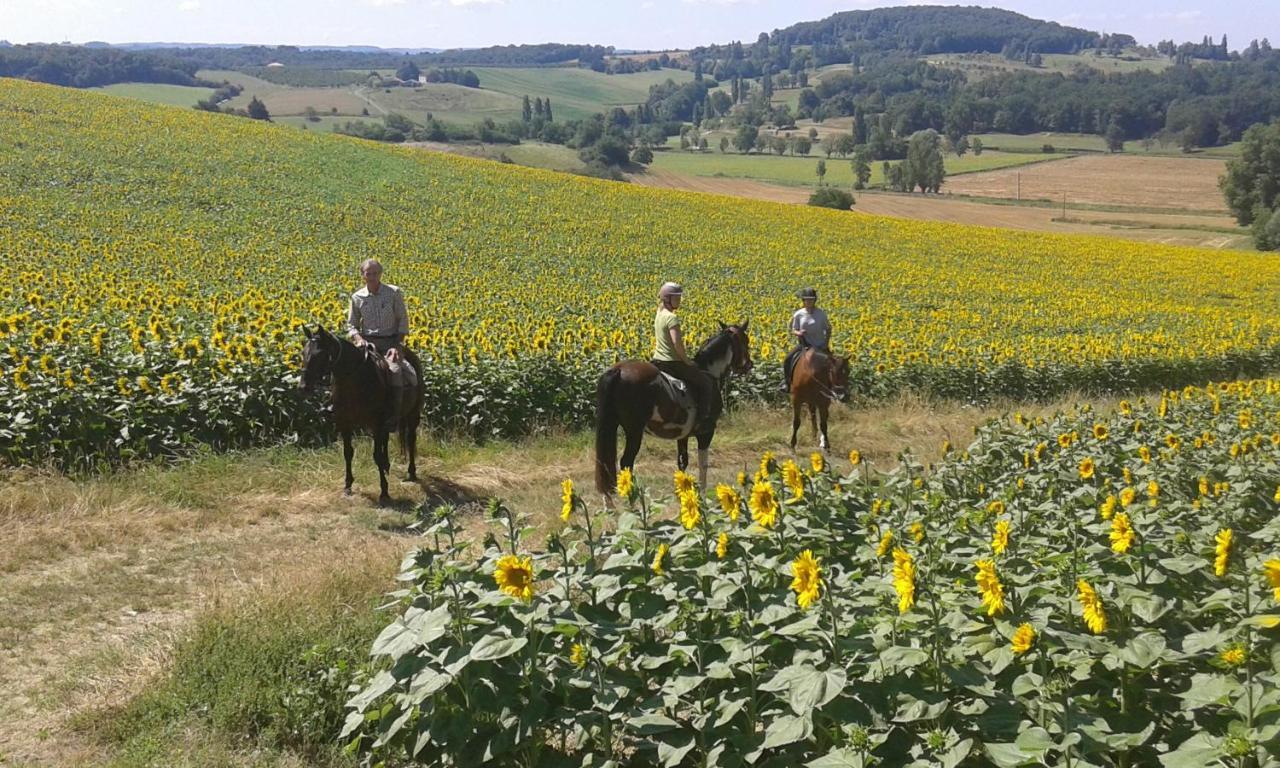 Вилла Ferme Equestre Des Abrons Pailloles Экстерьер фото
